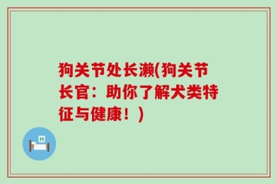 狗关节处长濑(狗关节长官：助你了解犬类特征与健康！)