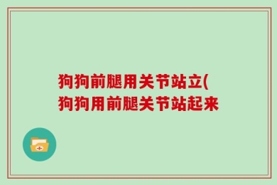 狗狗前腿用关节站立(狗狗用前腿关节站起来