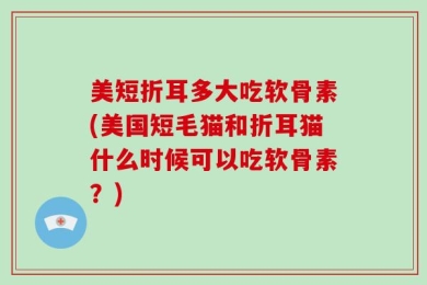 美短折耳多大吃软骨素(美国短毛猫和折耳猫什么时候可以吃软骨素？)