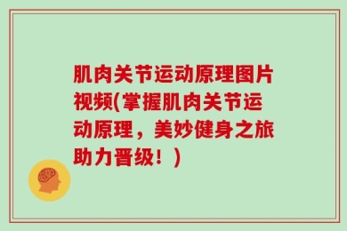 肌肉关节运动原理图片视频(掌握肌肉关节运动原理，美妙健身之旅助力晋级！)