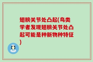 翅膀关节处凸起(鸟类学者发现翅膀关节处凸起可能是种新物种特征)