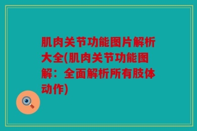 肌肉关节功能图片解析大全(肌肉关节功能图解：全面解析所有肢体动作)