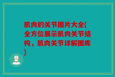 肌肉的关节图片大全(全方位展示肌肉关节结构，肌肉关节详解图库)