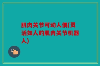 肌肉关节可动人偶(灵活如人的肌肉关节机器人)