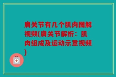 肩关节有几个肌肉图解视频(肩关节解析：肌肉组成及运动示意视频)