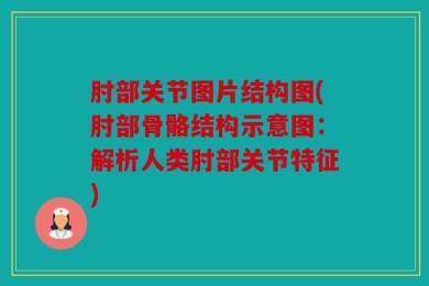 肘部关节图片结构图(肘部骨骼结构示意图：解析人类肘部关节特征)