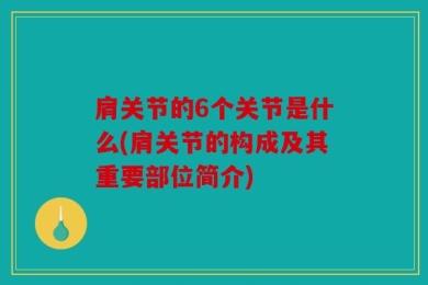 肩关节的6个关节是什么(肩关节的构成及其重要部位简介)