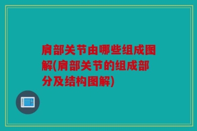肩部关节由哪些组成图解(肩部关节的组成部分及结构图解)