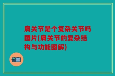 肩关节是个复杂关节吗图片(肩关节的复杂结构与功能图解)