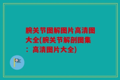 腕关节图解图片高清图大全(腕关节解剖图集：高清图片大全)
