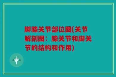 脚膝关节部位图(关节解剖图：膝关节和脚关节的结构和作用)