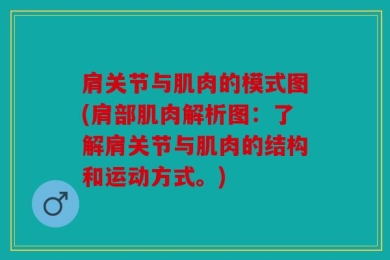 肩关节与肌肉的模式图(肩部肌肉解析图：了解肩关节与肌肉的结构和运动方式。)