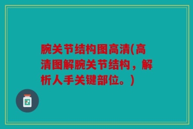 腕关节结构图高清(高清图解腕关节结构，解析人手关键部位。)