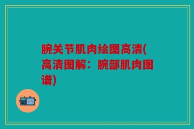 腕关节肌肉绘图高清(高清图解：腕部肌肉图谱)
