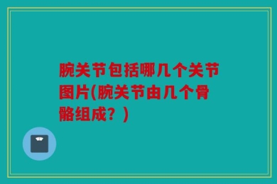 腕关节包括哪几个关节图片(腕关节由几个骨骼组成？)