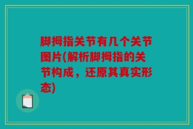 脚拇指关节有几个关节图片(解析脚拇指的关节构成，还原其真实形态)