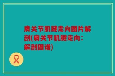肩关节肌腱走向图片解剖(肩关节肌腱走向：解剖图谱)