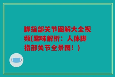 脚指部关节图解大全视频(趣味解析：人体脚指部关节全景图！)