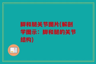 脚和腿关节图片(解剖学图示：脚和腿的关节结构)