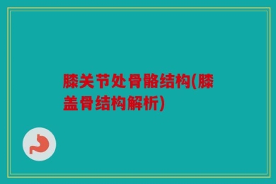 膝关节处骨骼结构(膝盖骨结构解析)