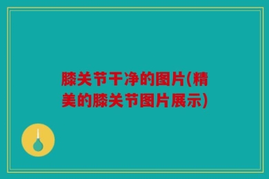 膝关节干净的图片(精美的膝关节图片展示)