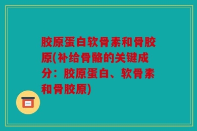 胶原蛋白软骨素和骨胶原(补给骨骼的关键成分：胶原蛋白、软骨素和骨胶原)