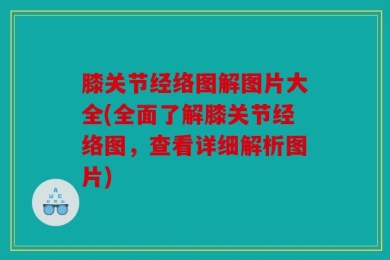 膝关节经络图解图片大全(全面了解膝关节经络图，查看详细解析图片)