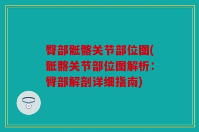 臀部骶髂关节部位图(骶髂关节部位图解析：臀部解剖详细指南)