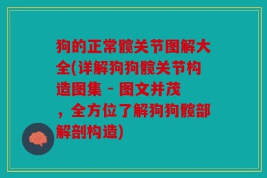 狗的正常髋关节图解大全(详解狗狗髋关节构造图集 - 图文并茂，全方位了解狗狗髋部解剖构造)
