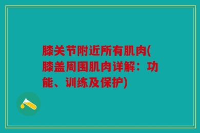 膝关节附近所有肌肉(膝盖周围肌肉详解：功能、训练及保护)