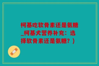 柯基吃软骨素还是氨糖_柯基犬营养补充：选择软骨素还是氨糖？)