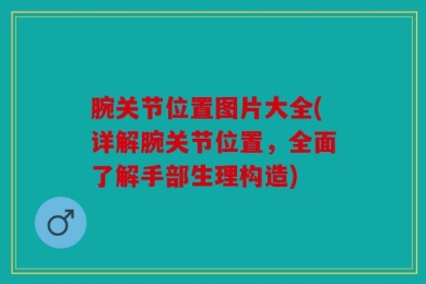 腕关节位置图片大全(详解腕关节位置，全面了解手部生理构造)