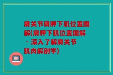 肩关节肩胛下肌位置图解(肩胛下肌位置图解 - 深入了解肩关节肌肉解剖学)