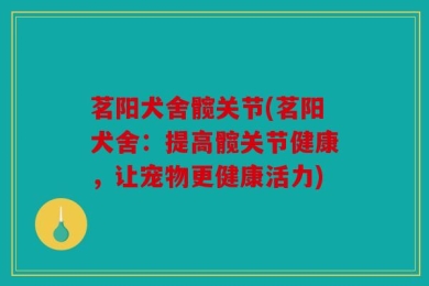茗阳犬舍髋关节(茗阳犬舍：提高髋关节健康，让宠物更健康活力)