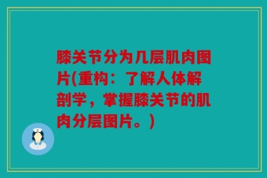 膝关节分为几层肌肉图片(重构：了解人体解剖学，掌握膝关节的肌肉分层图片。)