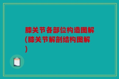 膝关节各部位构造图解(膝关节解剖结构图解)