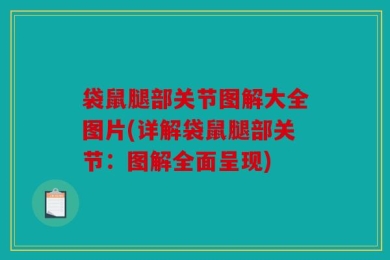 袋鼠腿部关节图解大全图片(详解袋鼠腿部关节：图解全面呈现)