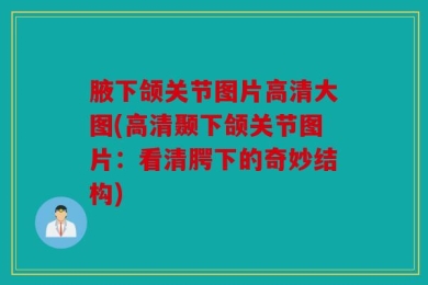 腋下颌关节图片高清大图(高清颞下颌关节图片：看清腭下的奇妙结构)