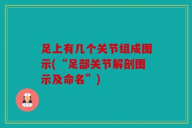 足上有几个关节组成图示(“足部关节解剖图示及命名”)
