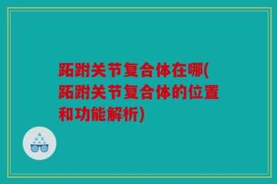 跖跗关节复合体在哪(跖跗关节复合体的位置和功能解析)