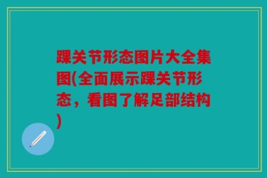 踝关节形态图片大全集图(全面展示踝关节形态，看图了解足部结构)