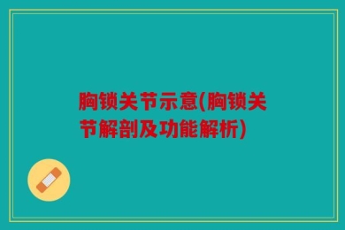 胸锁关节示意(胸锁关节解剖及功能解析)