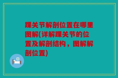 踝关节解剖位置在哪里图解(详解踝关节的位置及解剖结构，图解解剖位置)