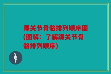 踝关节骨骼排列顺序图(图解：了解踝关节骨骼排列顺序)