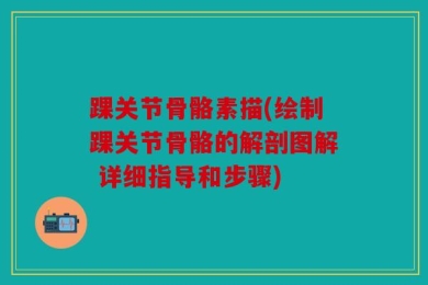 踝关节骨骼素描(绘制踝关节骨骼的解剖图解 详细指导和步骤)