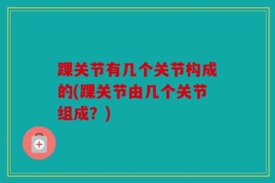 踝关节有几个关节构成的(踝关节由几个关节组成？)