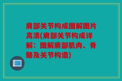 肩部关节构成图解图片高清(肩部关节构成详解：图解肩部肌肉、骨骼及关节构造)