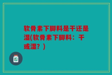 软骨素下脚料是干还是湿(软骨素下脚料：干或湿？)