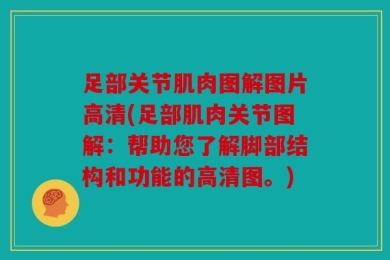 足部关节肌肉图解图片高清(足部肌肉关节图解：帮助您了解脚部结构和功能的高清图。)