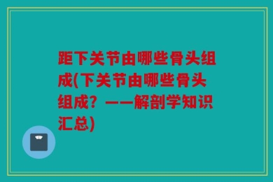 距下关节由哪些骨头组成(下关节由哪些骨头组成？——解剖学知识汇总)